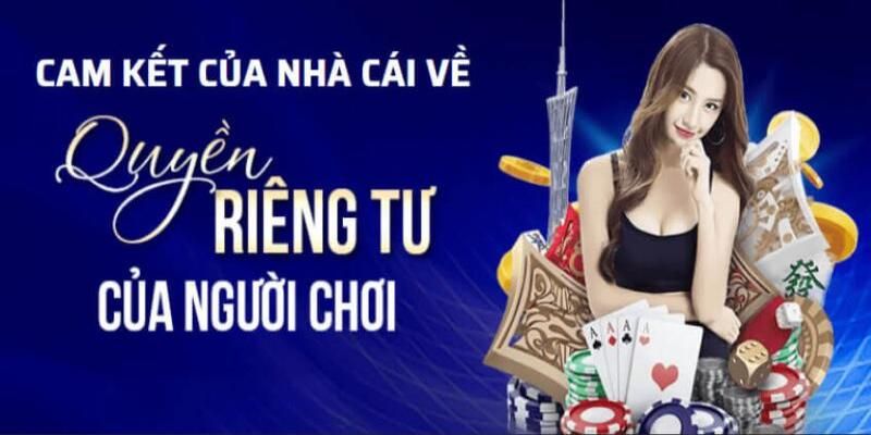 Quy định về chính sách quyền riêng tư Vin777 năm 2024